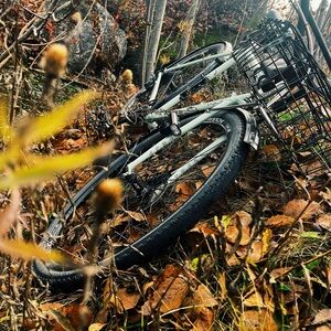 Meet your Posher, Vince